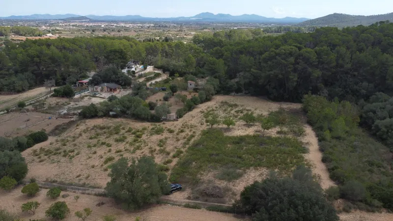 Rustic plot of 2,752 m² with fruit trees and wooded area — photo 6