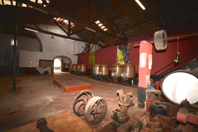 Historic winery in Binissalem: Tradition and Investment Opportunity — photo 12