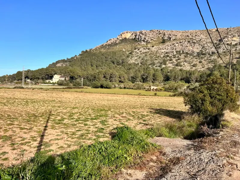 Rustic estate in Alcudia, with an area of approximately 23,000 m2, possibilities to build a detached single-family home and — photo 12
