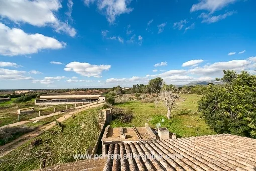 Llucmajor, spacious finca with 3 independent plots near Llucmajor — photo 6