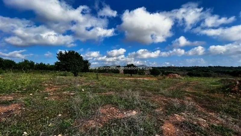 Rustic plot in Son Carrió with water and electricity — photo 1