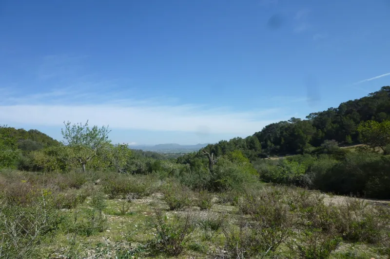 Large building plot for finca project in a quiet location near Son Macià — photo 2