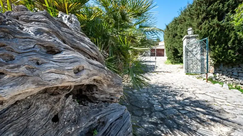 Plot of about 1,324 m2 with existing house in the picturesque village of Galilea, located west of the island with spectacular views over the — photo 4