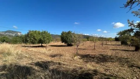 Terreno — photo 8
