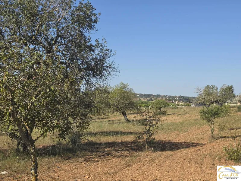 Exclusive Building Plot with Mediterranean Serenity near Sant Llorenç des Cardassar — photo 1