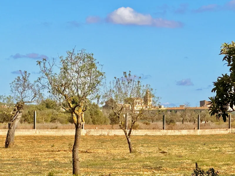 Finca in Porreres — photo 12