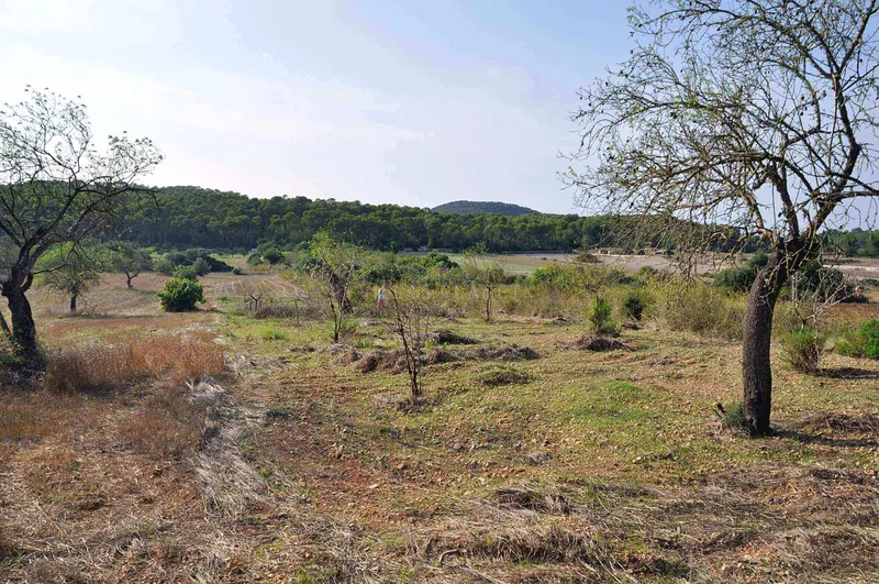 Rustic Land-plot In Sa... — photo 2