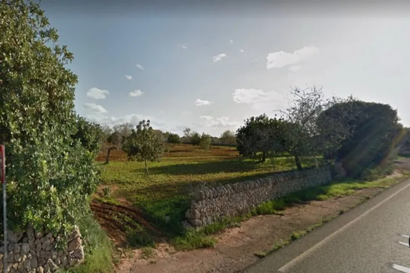 Rustic building plot between Cas Concos – Santanyi — T 22 CM — photo 7