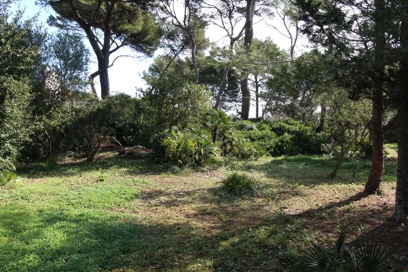 Building plot in first sea line in Cala Ratjada — photo 5