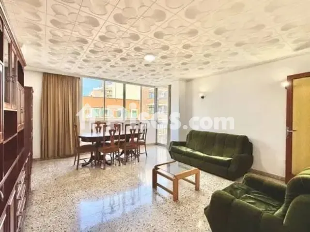 Apartment in Pere Garau — photo 1