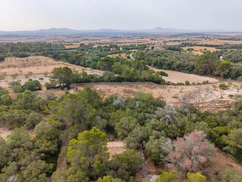 If you are looking for a refuge to enjoy the tranquility of the Mallorcan countryside, surrounded by nature and with excellent connections, this pro — photo 7