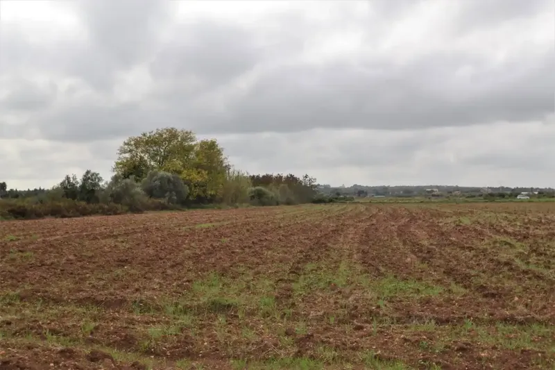 Plot of 15300 square meters with tool shed to be renovated — photo 11