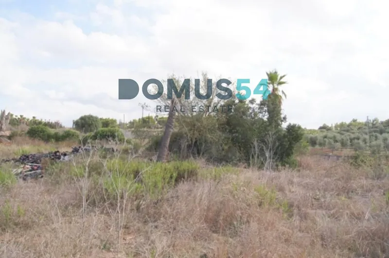 Plot in Muro — photo 11