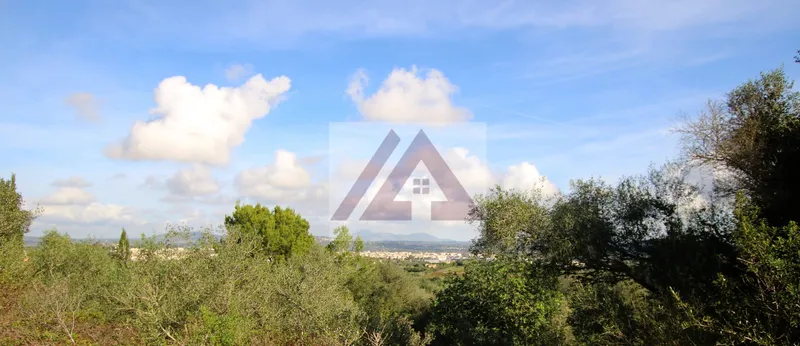Country house for sale in Manacor — photo 2