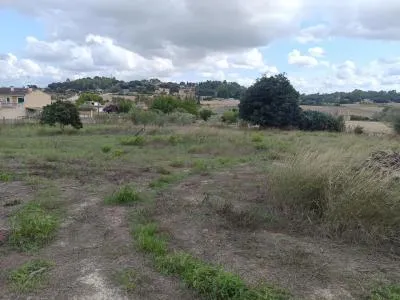 Rustic property - Sineu, Built Surface 30m², Plot Surface 2600m², All Exterior — photo 8
