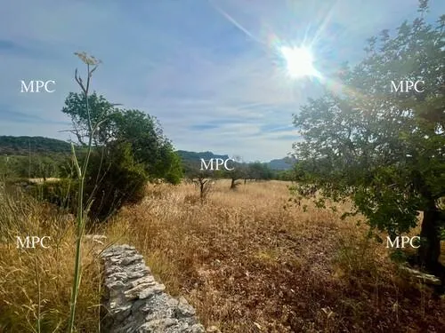 Large Rustic Plot in Artà – 9,900 m² of Nature and Tranquility — photo 1