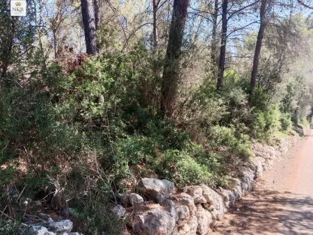 Rural Land - Costitx (S'arisal), Plot Surface 8000m², Distance to the sea 25 Km. — photo 2