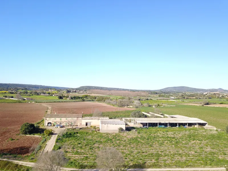 Finca for agricultural use with residential house in Manacor — photo 1
