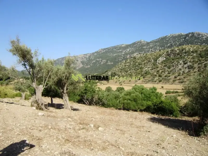 Fantastic estate in the Orient area with incredible panoramic views of the Serra de Tramuntana, located in an elevated and idyllic spot surrounded — photo 11