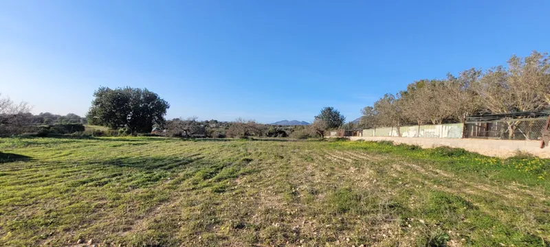 Spacious plot (7,083 m²) in Llucmajor – pure nature! — photo 5