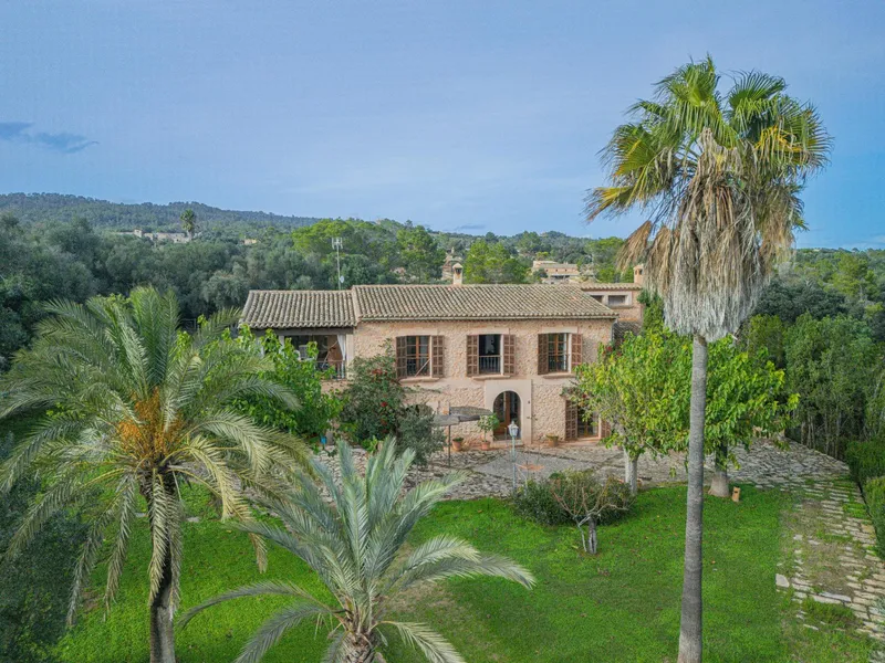 Rustic finca with swimming pool — photo 5