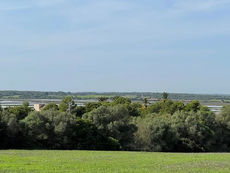 Spectacular 4 bedroom country house with views to the countryside and pool, Ses Salines — photo 11
