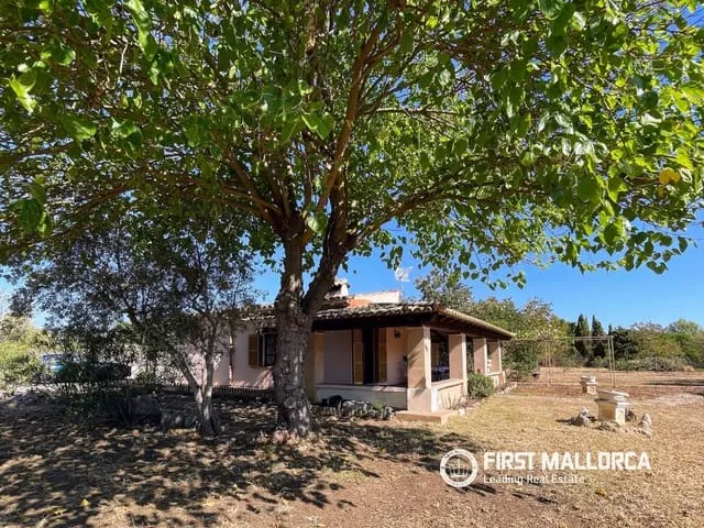 Finca/Country House for rent in Pollensa / Pollença, Mallorca — photo 6