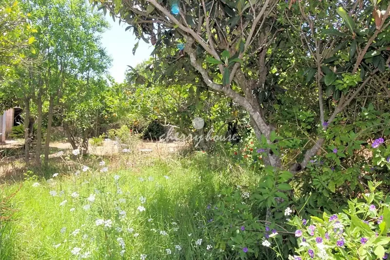 The exclusive estate of Son Marrón, from the ancient segregations of the Islamic farmstead Beni-Taref, documented as early as 1232 — photo 6