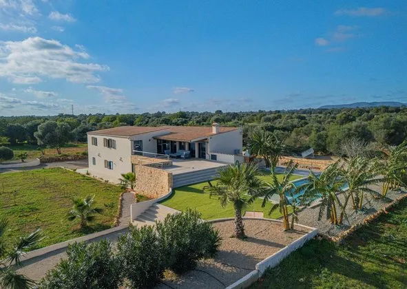 Estate in Campos — photo 2