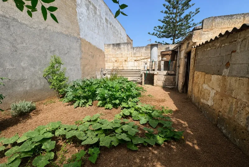 Plot in Manacor — photo 3