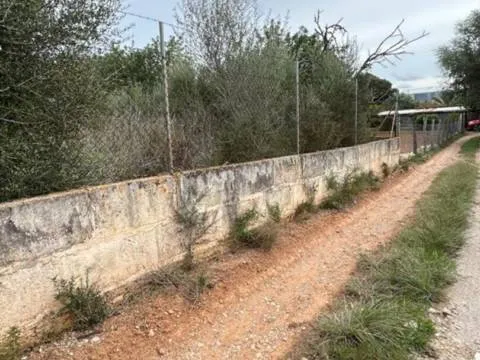 Plot — photo 2