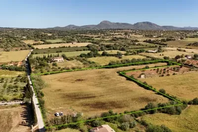 Building Plot in Manacor — photo 5