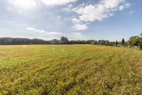 Plot — photo 3