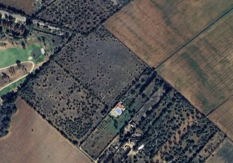 Rustic plot next to Son Antem, Mallorca — photo 2