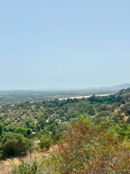Finca with a large plot - near Palma! — photo 1