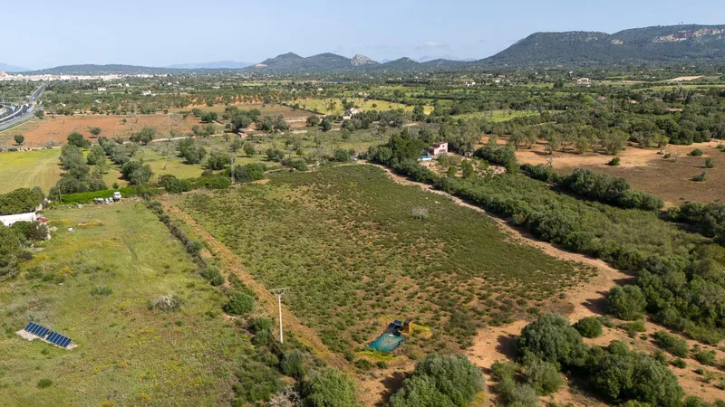 Rustic plot with project and favorable resolution in Llucmajor — photo 5