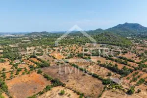 Ref. PRO230 – Spacious plot with project for a modern finca with various building volumes, floor-to-ceiling windows, garage, patio and pool in an idyllic neighborhood with excellent connectivity between Es Carritxo and Felanitx — photo 9