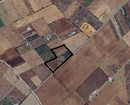 I-5037 Rustic Plot between Campos and Sa Ràpita: Nature and Privacy a Step from the Sea — photo 7