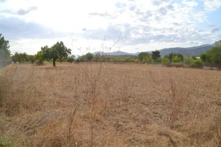 Rustic property - Campanet, Built Surface 20m², Plot Surface 4316m², 1 Room — photo 5