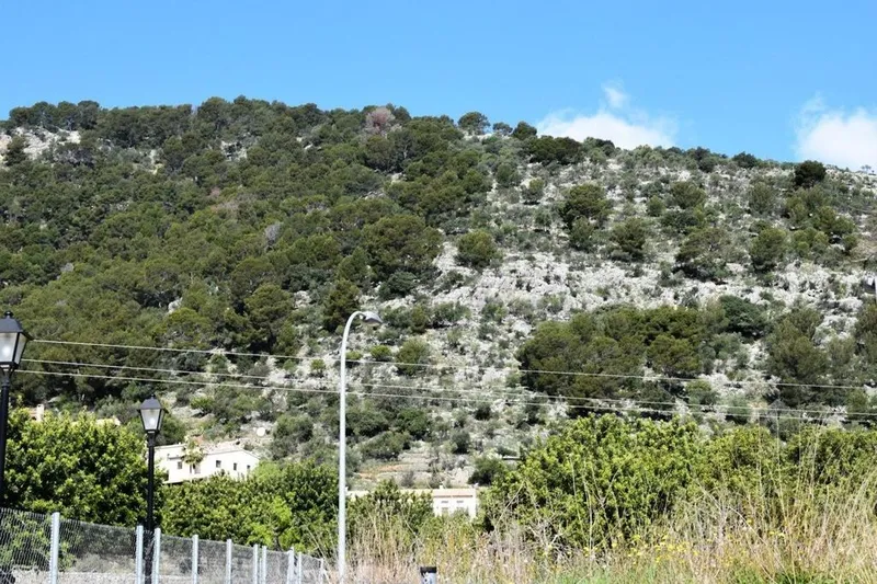 Land in Alaró, Province of Balearic Islands — photo 1