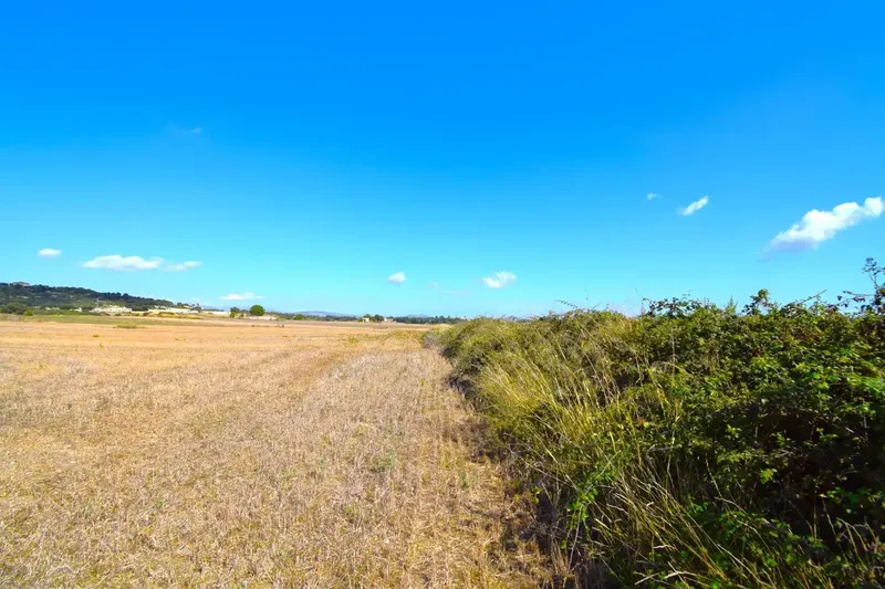 Set of plots totaling 19,622 m2, with the possibility of building a house in a privileged natural environment in Muro — photo 1