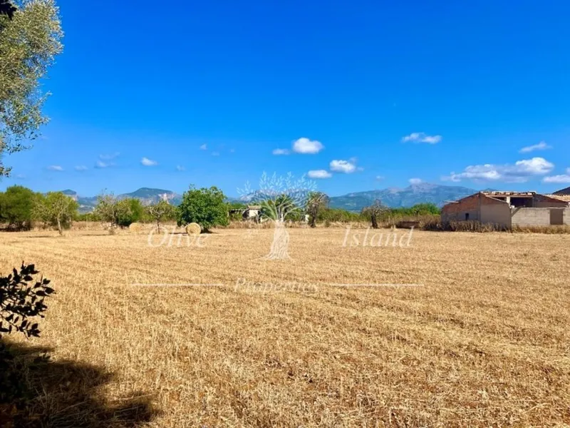 Land in Inca, Province of Balearic Islands — photo 12