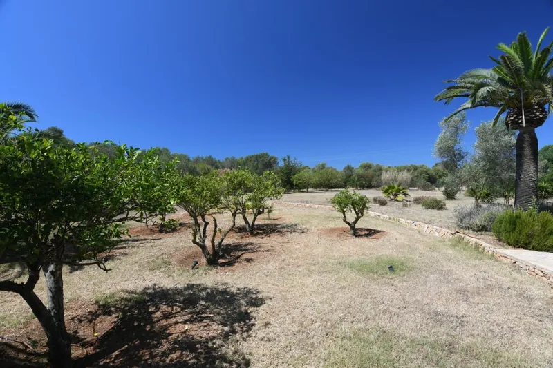 Practical and modern renovated country house in one of the best areas of Santanyi — photo 8