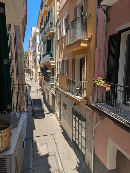 Temporary Professional Rental - One bedroom in La Lonja, with communal terrace — photo 10