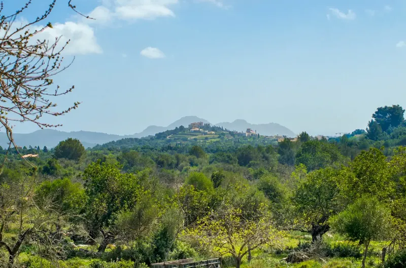 Finca to renovate in the hills before Artà — photo 3