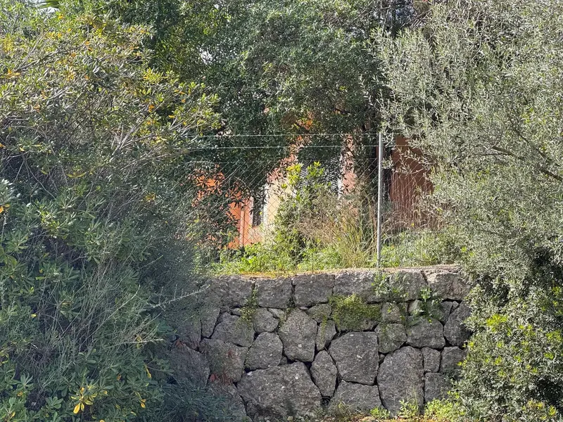 House with squatters, cannot be visited and only cash purchase, no financing — photo 5