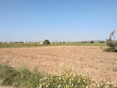 Rural Land - Campos, Plot Surface 2406m² — photo 5