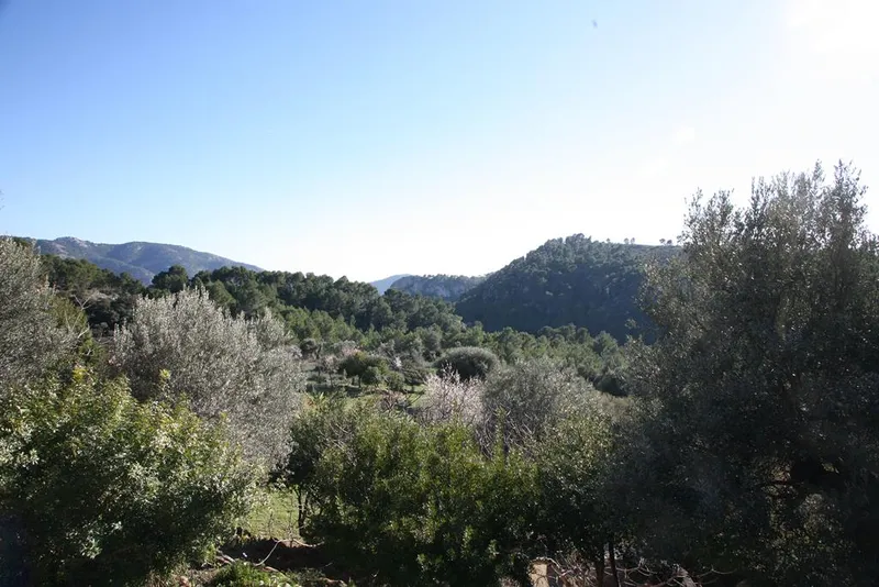 Ref. 2273C – Andratx – Beautiful restored finca — photo 2