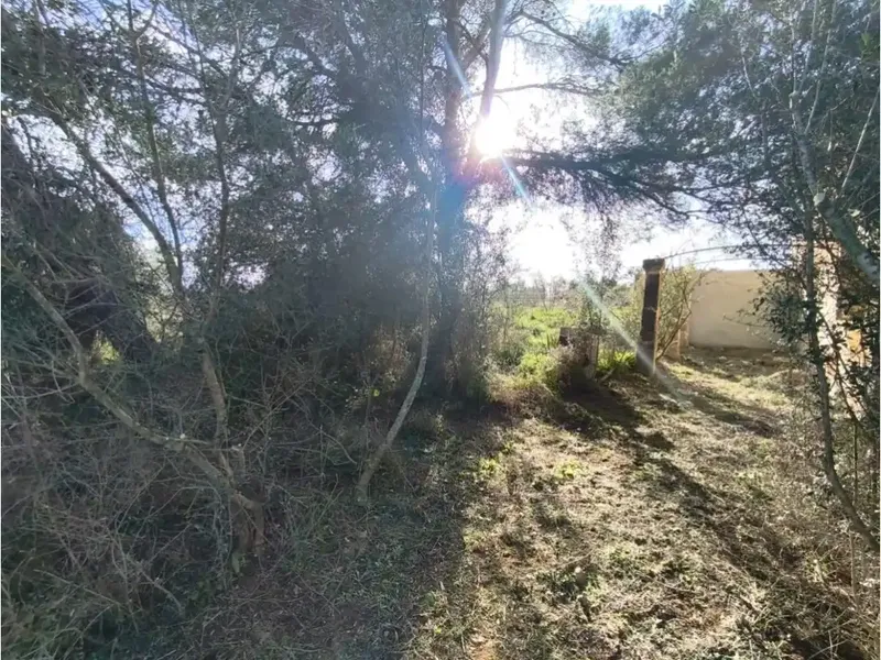 Rustic estate for sale on Camí de Sencelles, excellent location minutes from Inca center — photo 3