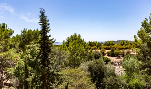 Ideal finca to be converted in a hotel in Calvia — photo 12